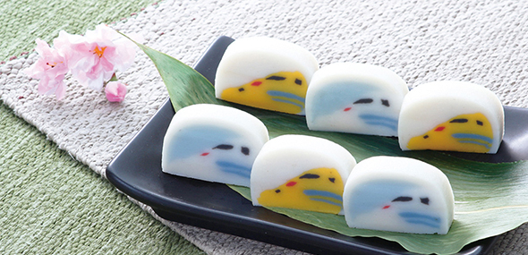 メディア紹介