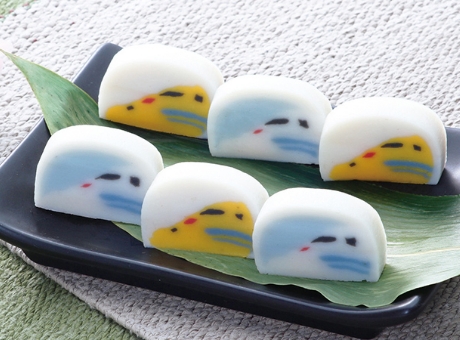 メディア紹介